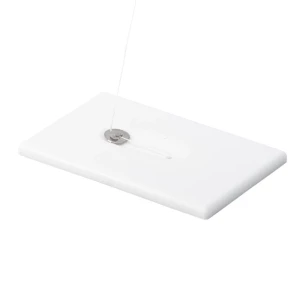 Veidrodis su dantų siūlu 