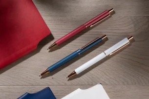 Rašiklis VERNO - bordo spalvos