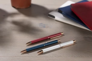 Rašiklis VERNO - bordo spalvos