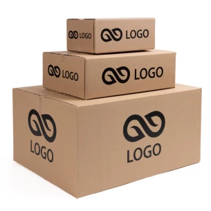 A dydžio pašto siuntų dėžutė