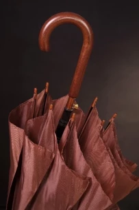 Fernando skėtis - Rudas